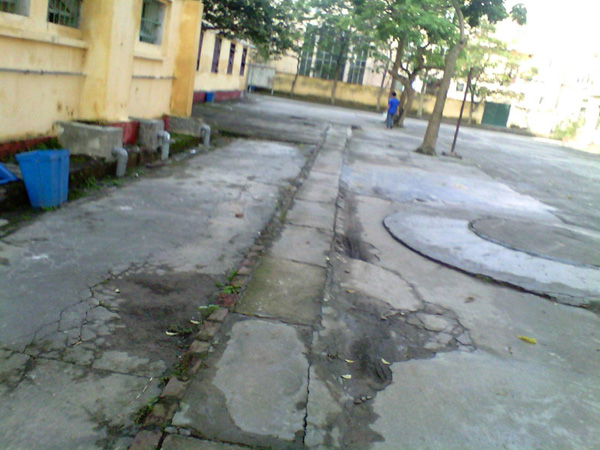 KenhSinhVien-img-20130510-063720-1.jpg