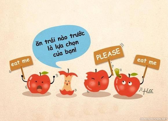 Kết quả hình ảnh cho quy luật quả táo