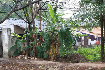 Những khu trọ “ổ chuột” của sinh viên