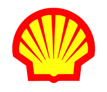 1288-shell2pz5.jpg