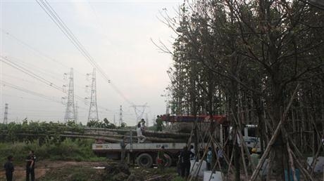 Toàn miền Nam mất điện do xe cẩu bất cẩn ngày 22/5/2013