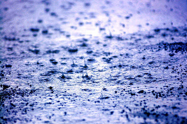 KSV.ME-011pouringrain.jpg