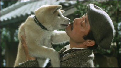 KSV.ME-hachiko1.jpg