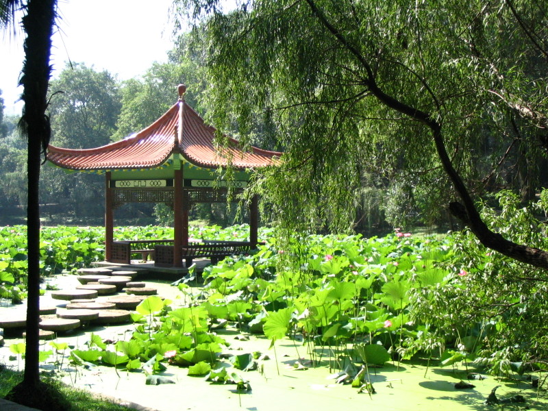 KSV.ME-lotuspavilion.jpg