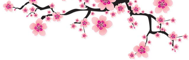 Cách chọn hoa đào Tết | Kênh Sinh Viên
