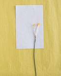 KenhSinhVien.Net-h4.jpg