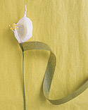 KenhSinhVien.Net-h6.jpg