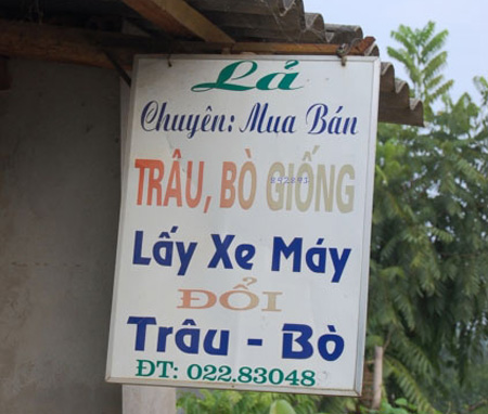 KenhSinhVien.Net-b15.jpg