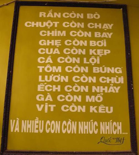 KenhSinhVien.Net-c42.jpg