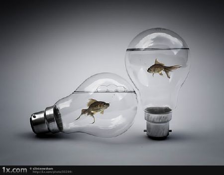KenhSinhVien.Net-separationphotomanipulation-b8c46.jpg