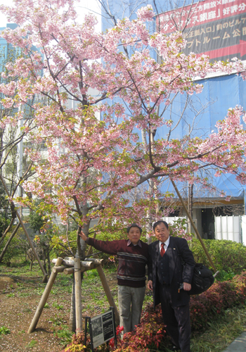 KenhSinhVien.Net-tac-gia-ben-canh-hoa.jpg