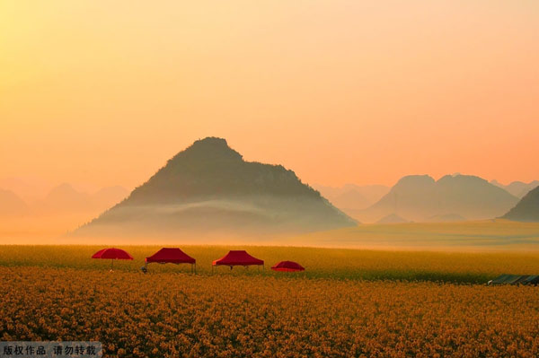 KenhSinhVien.Net-1-14.jpg
