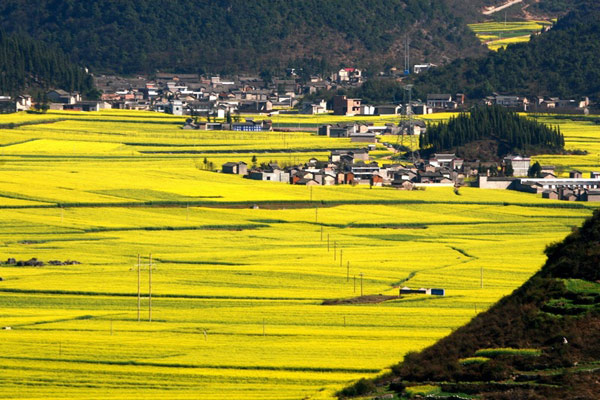 KenhSinhVien.Net-1-20.jpg