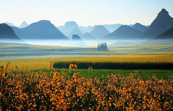 KenhSinhVien.Net-1-8.jpg