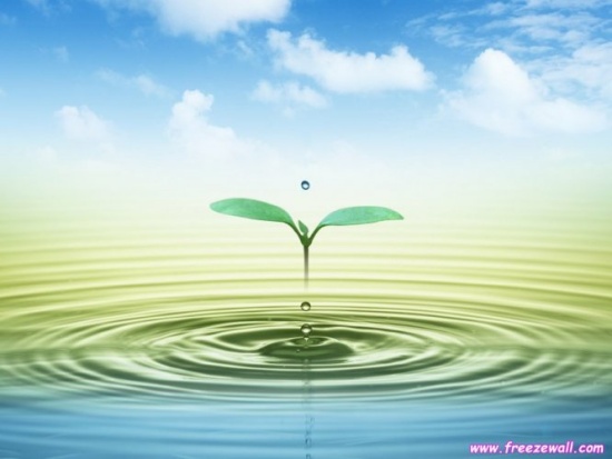 KenhSinhVien.Net-bai-hoc-cuoc-song-1.jpg