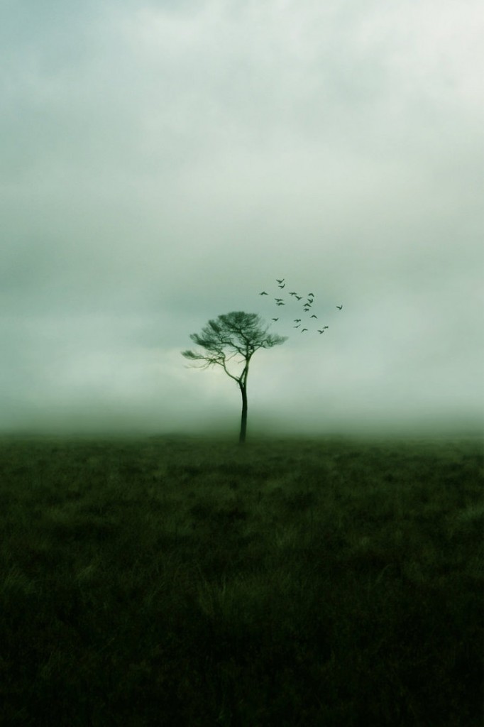 KenhSinhVien.Net-like-emptiness-682x1024.jpg